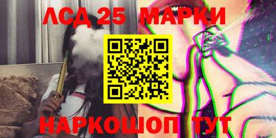 дурь Бердск