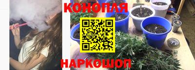 дурь Бердск