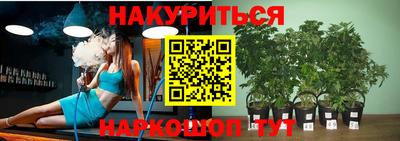 дурь Бердск