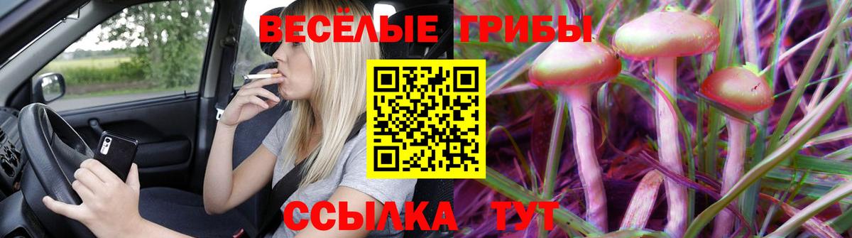 Астрахань  Галлюциногенные грибы Psilocybine cubensis  Вход с VPN 